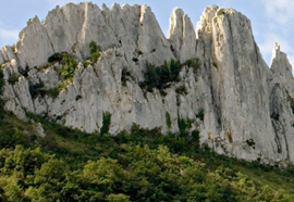 fleurs-hilaire-dentelles-montmirail