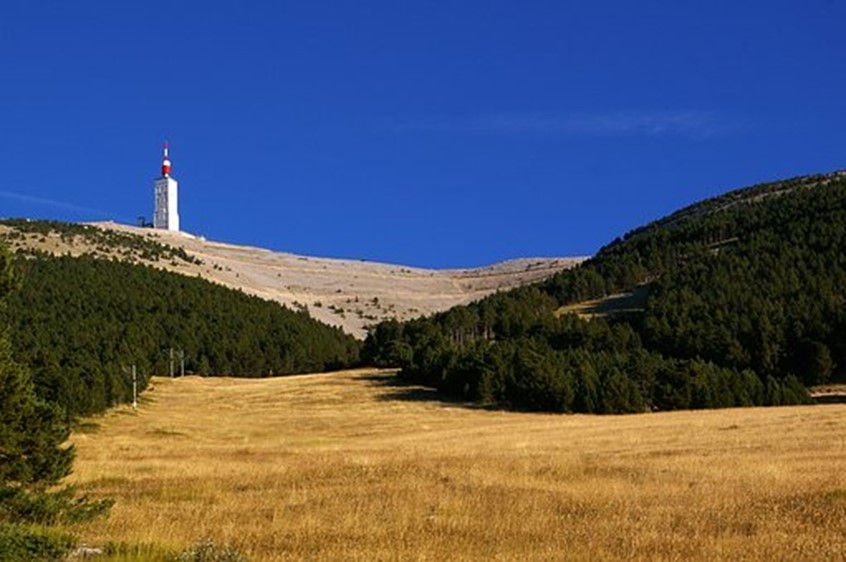 fleurs-hilaire-mont-ventoux