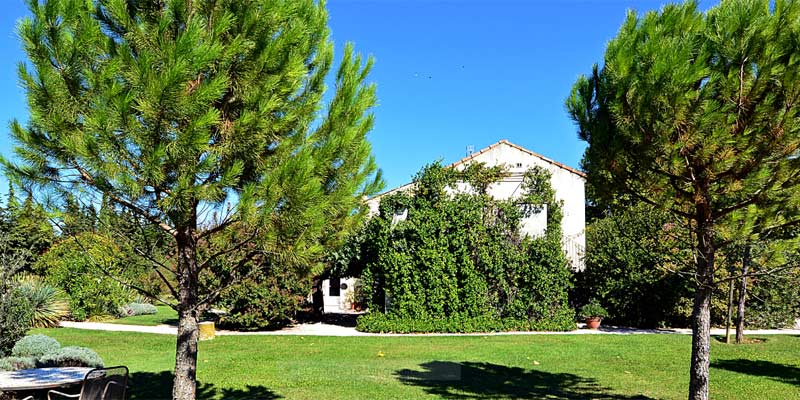 Estate Swimming pool