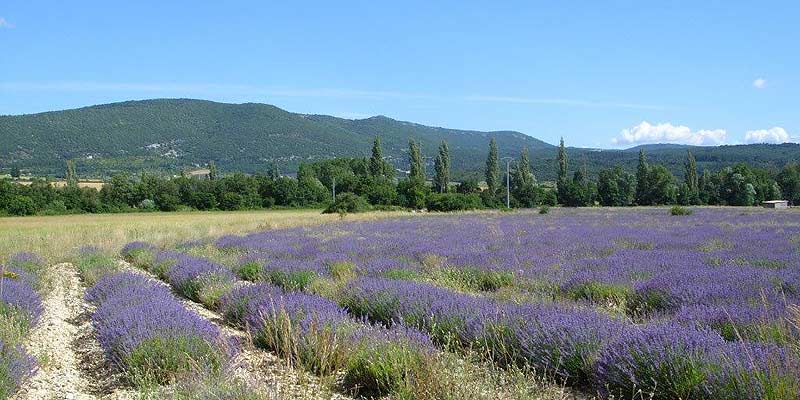 Provence