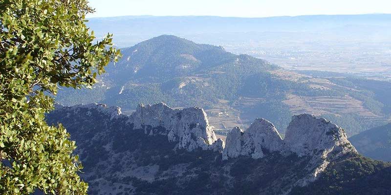 Provence